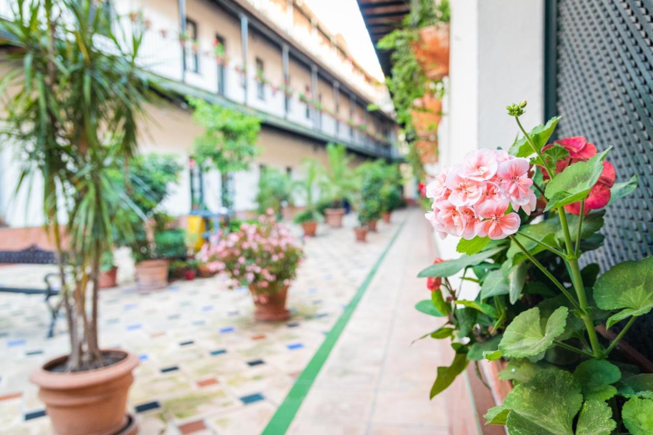 Hoteles Del Sur Sevilla Dış mekan fotoğraf